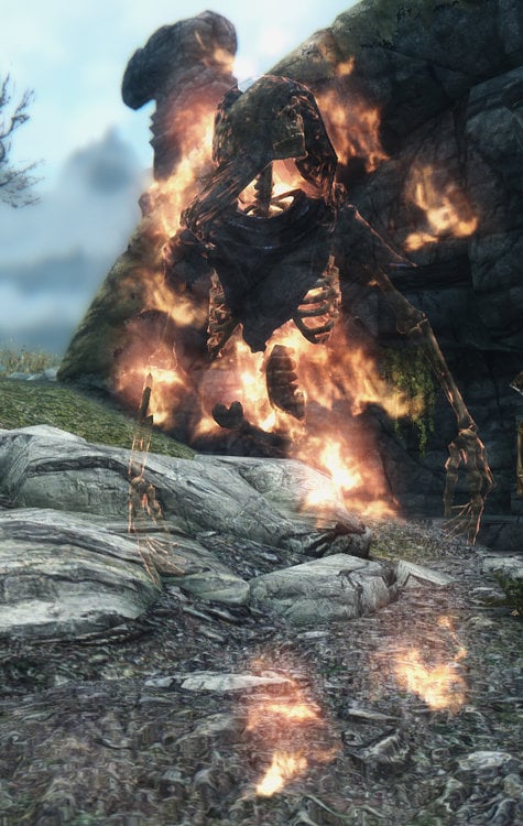 5a844665c8680_Flamingboner.thumb.jpg.6cd8c99496ecafb7e32484ee0376759f.jpg