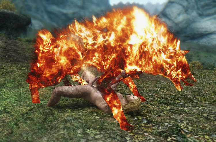 5a8503a56730d_flamingdick.thumb.jpg.fdaeb020850cbeccd955f4feef99e157.jpg