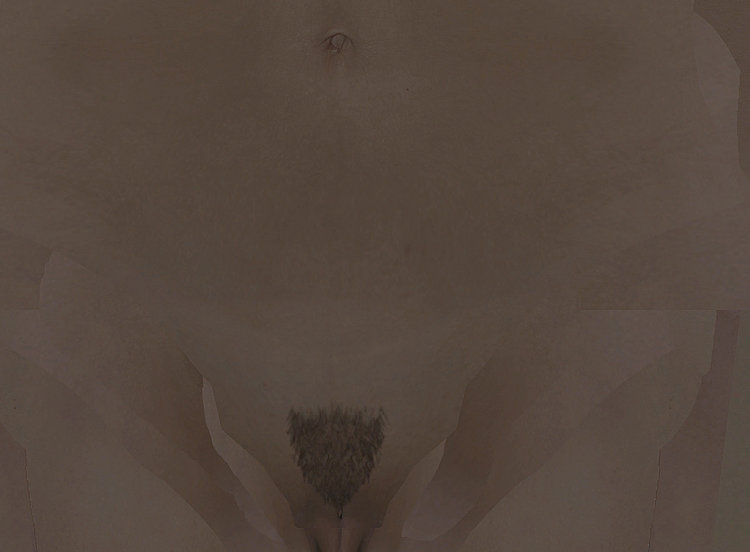 femaleImperial_1_neat copy.jpg