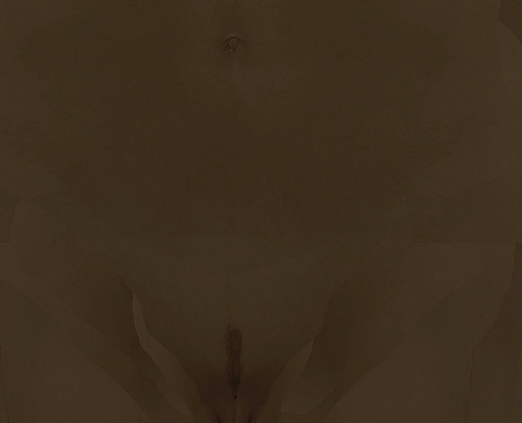 femaleRedguard_1_narrowstrip copy.jpg
