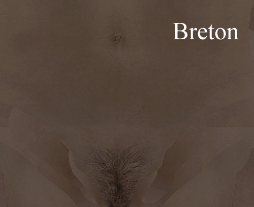 5a908076d6f99_femaleBreton_1_naturalcopy.jpg.07910c15a9ae6d80e47e8e76a6087f56.jpg