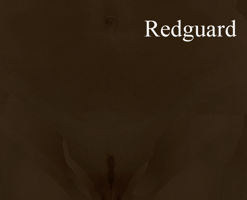 5a9080807f5e6_femaleRedguard_1_narrowstripcopy.jpg.04890c5a83526c4c91de65ebce2f33a9.jpg