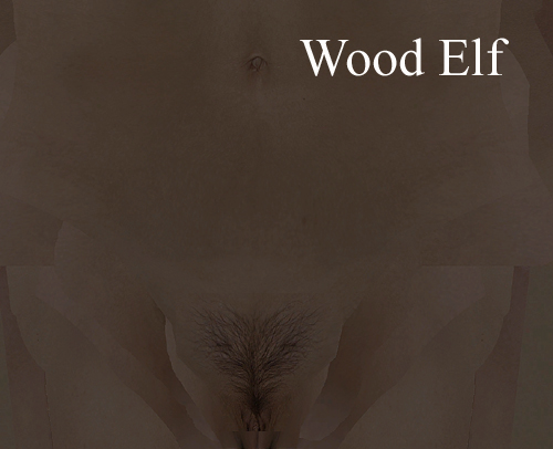 5a908081b7f46_femaleWoodelf_1_sparsecopy.jpg.4dc520f5822537e79fb3bdb9cb770034.jpg