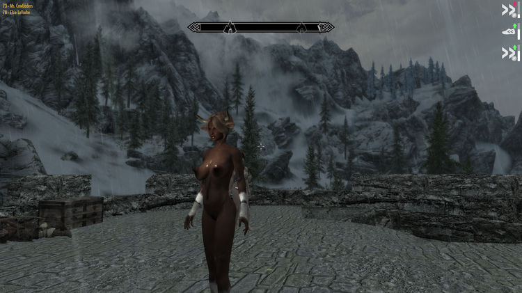 Elder Scrolls V  Skyrim Screenshot 2018.02.24 - 18.48.40.39.png