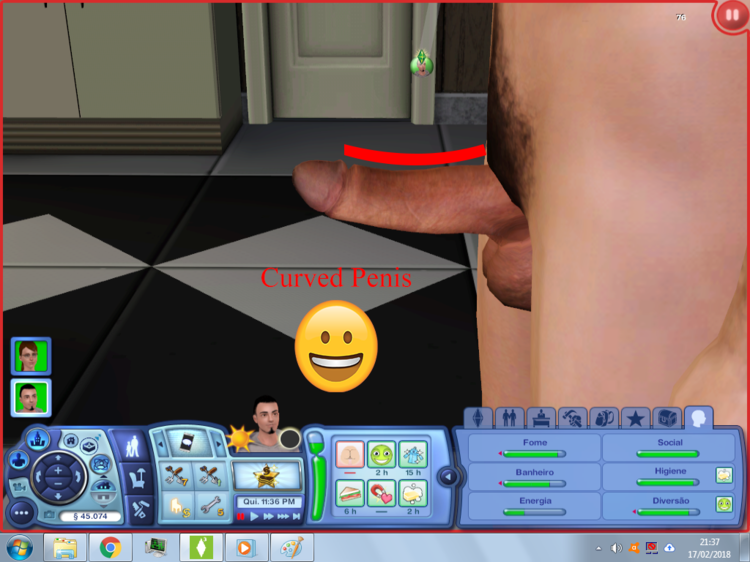 Penis.png