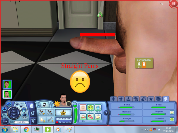 Penis2.png
