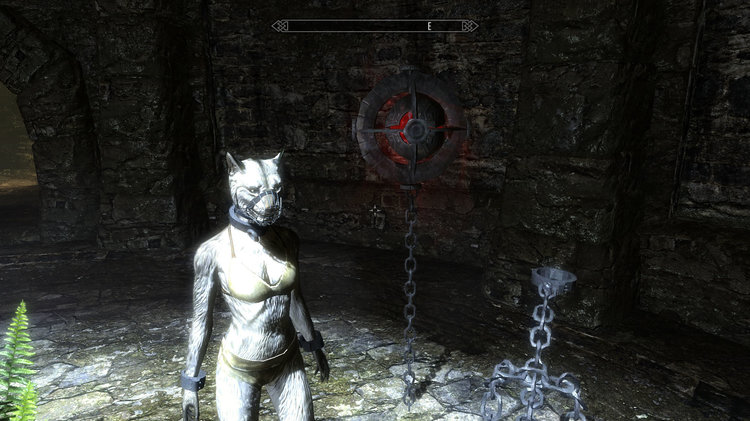 ScreenShot20.jpg