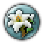 Virgin.png.5b74bd5b482aa95aea4b177428fd12c2.png