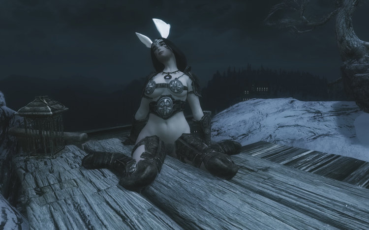 bunnynight01.thumb.jpeg.27fc03361fdb547e6b8e87315f155ca8.jpeg