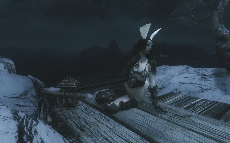 bunnynight05.thumb.jpeg.afe12bc99c1108eb3cb63474b3cd67f0.jpeg