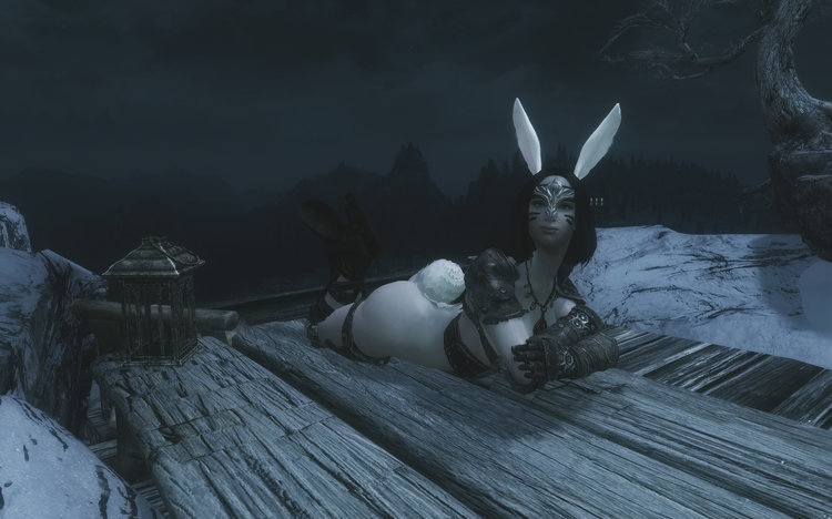 bunnynight07.thumb.jpeg.80bd1f6fa35fe8a4a5505f3394617411.jpeg