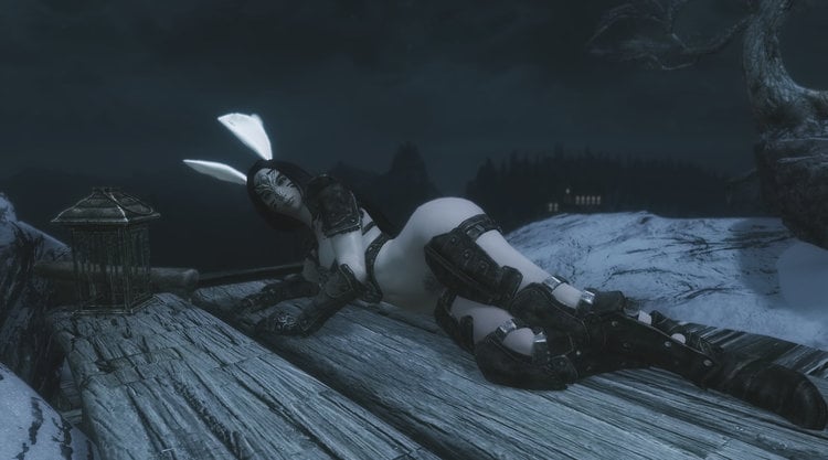 bunnynight08.thumb.jpeg.9f58429283a8218311c78fb2952586be.jpeg