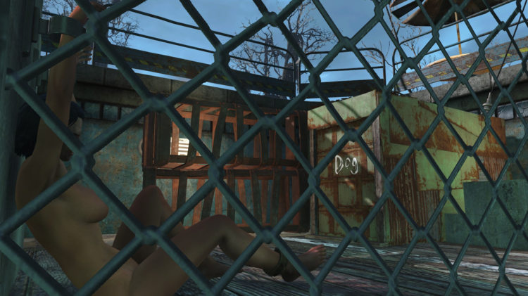 image.thumb.png.ef1c6747e0de95dd564b8754bcc9c2bf.png
