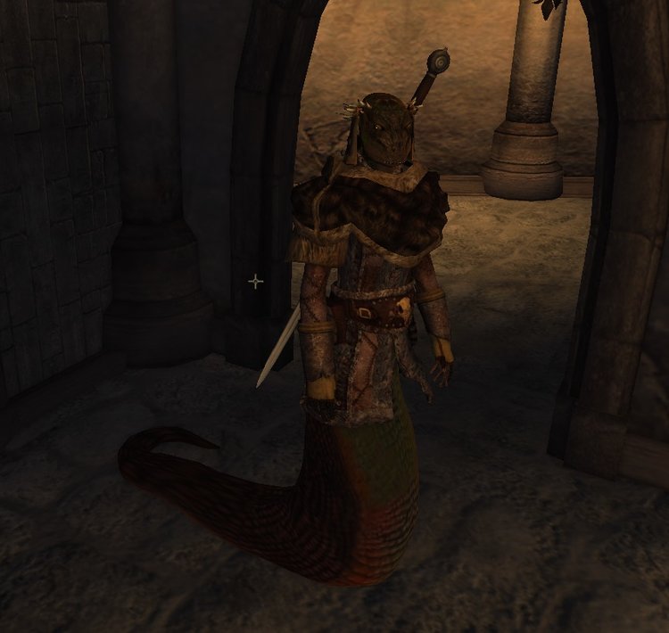 naga.jpg