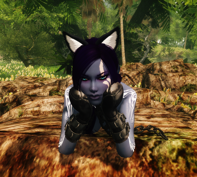 nekoDarkElf-1.thumb.png.6e993207b5b68bf9a325b82f4f464def.png