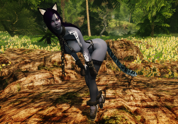 nekoDarkElf-2.thumb.png.def4c104373000cff3d5ff6eb7e75c74.png
