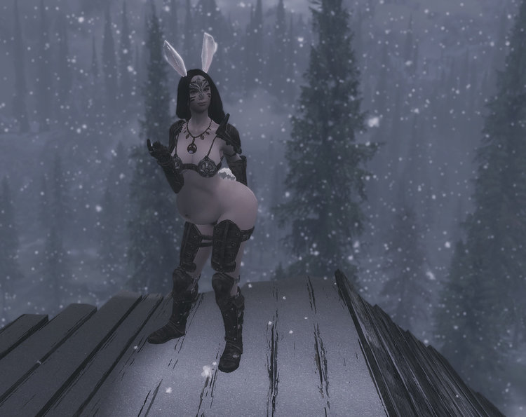 newsnowbunny02.thumb.jpeg.cfa944c2d2b77bb9d8cab8b9cda0c634.jpeg