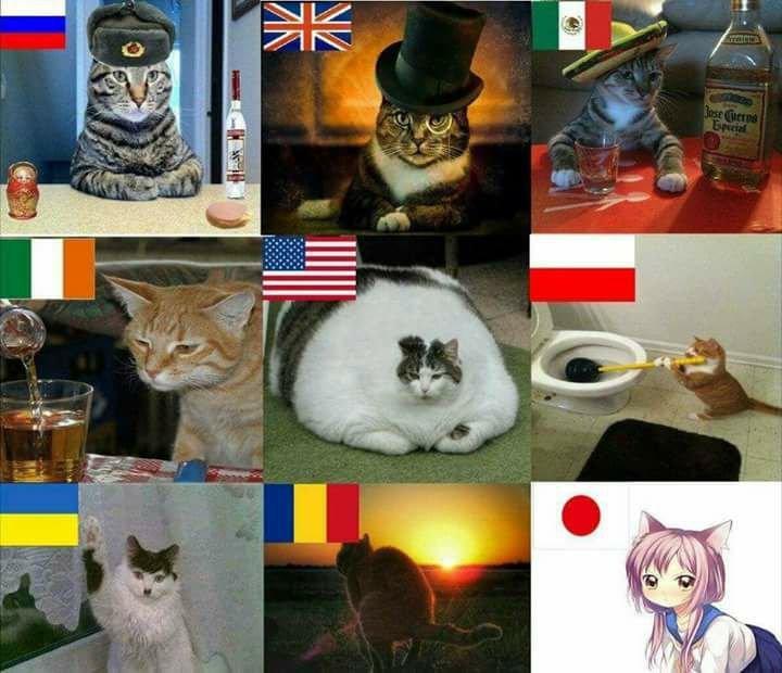 1.jpg.4d765d3ad6bf29fbcea52080204ca965.jpg