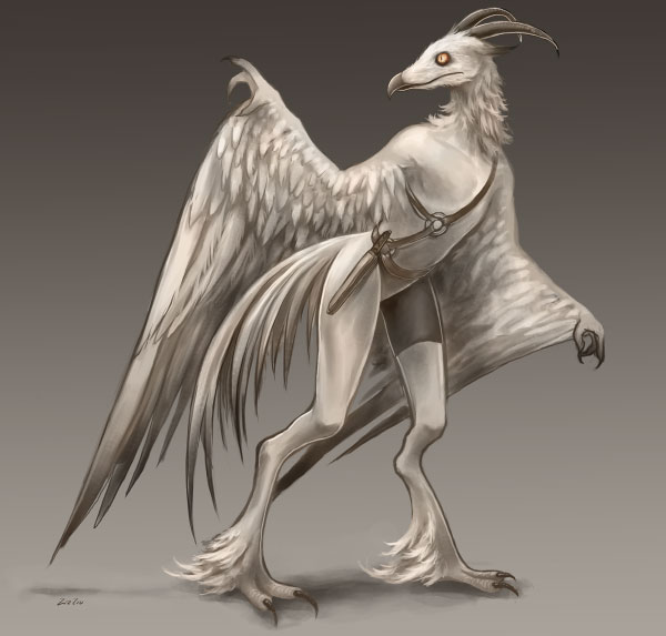 2012.4.30-bird-alt.jpg.865f6ff705a1cf1b102fd681d38abd3b.jpg