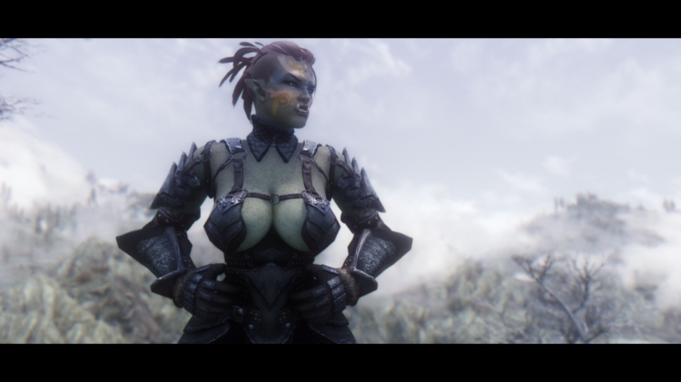 5aac610634623_Mardkhora-Skyrim2018-01-1420_48_15.thumb.png.eec503f50818186e891087668b293513.png
