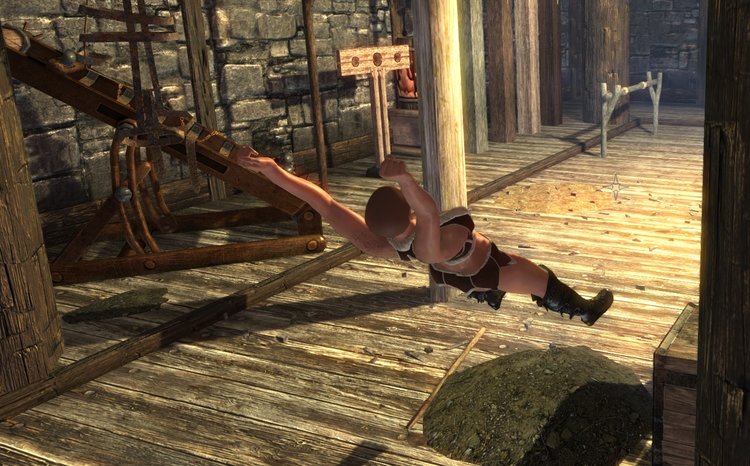 skyrim animation.jpg
