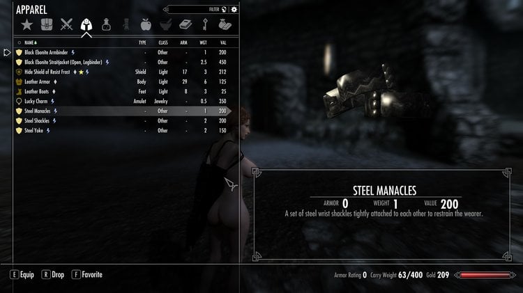 a skyrim ddi beta inventory broken.jpg