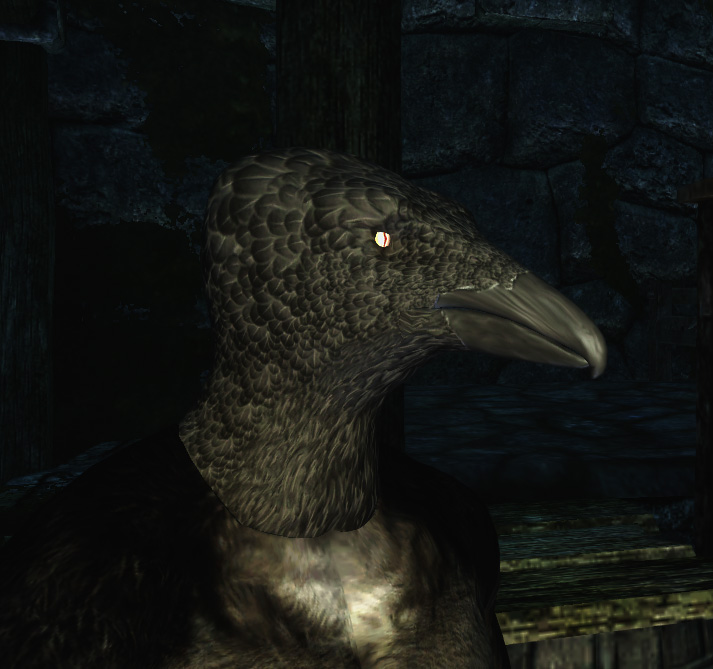 Ulri Head.jpg