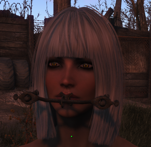 5abfa509db743_Fallout4Screenshot2018_03.31-10_12_16_89.png.5b15f224353fdbb04fcc15f7512c5b70.png