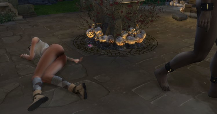 6.JPG