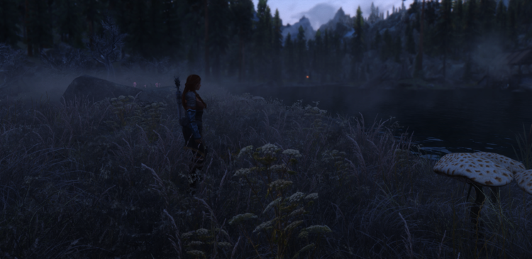 Dusk.thumb.png.6543d573d5b5fb5347b8e4291c2c312e.png