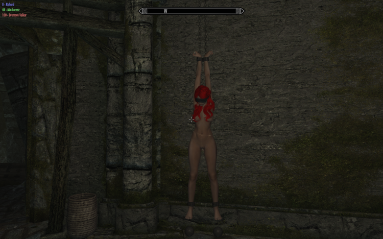 ScreenShot1.png