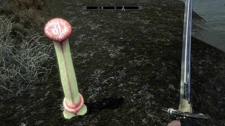 ScreenShot7.thumb.jpg.eb54ba8366ccb86fa1210e9dff89241c.jpg