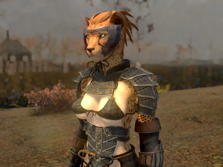 TAWOBA_YA_Blades.thumb.png.abffee6655edeebb43e2d6b1e2d89e8d.png
