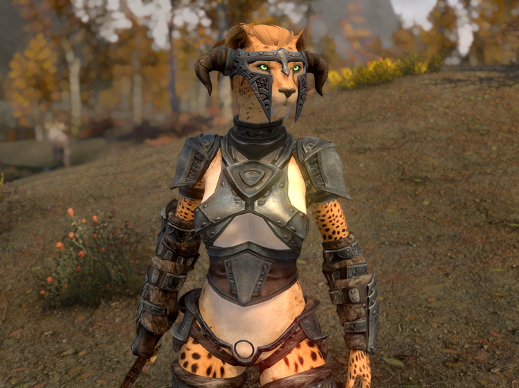TAWOBA_YA_Steel.thumb.png.2a123855e5a2c26bcf44aec48bf02829.png