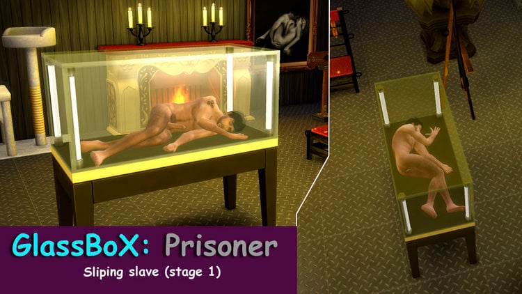 ____3GlassBoxPris1.thumb.jpg.94a4420c1c548973caf5d6ac60040169.jpg
