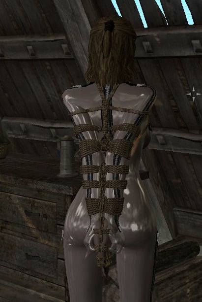catsuit_ropearmbinder.jpg.a79c81f77abea96f9032d9804c987073.jpg