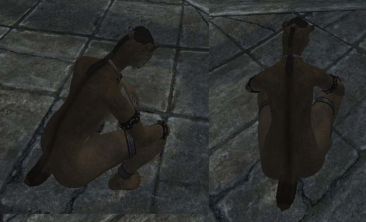 tail.jpg