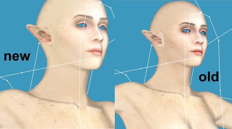 11NOhead.jpg