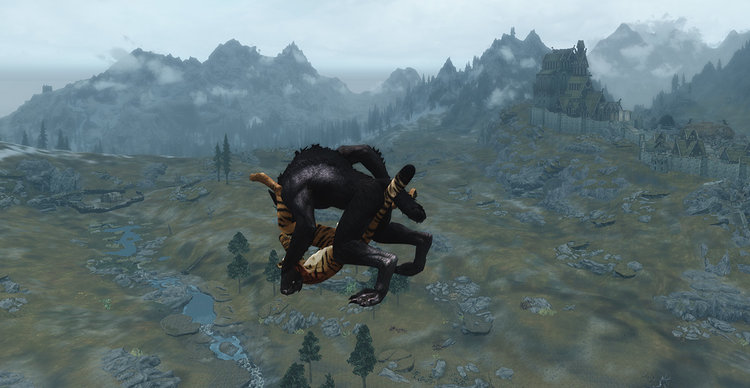 Sex above skyrim 2.jpg