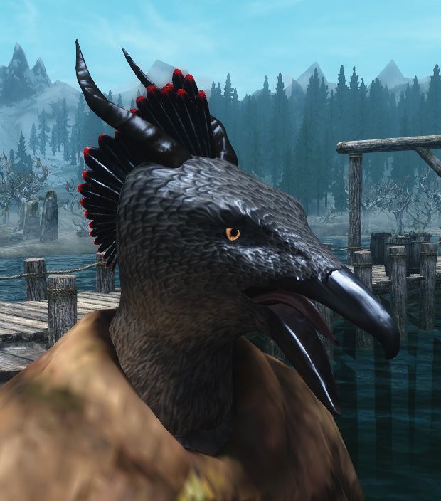 Raven Shout.jpg
