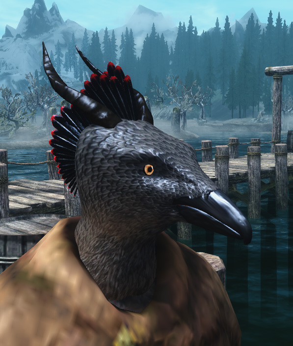 Raven neutral.jpg