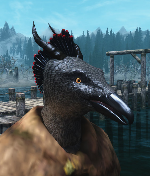Raven smiling.jpg