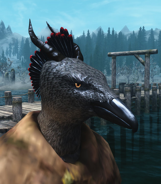 Raven Angry.jpg