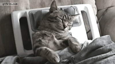 5ac3e09eaf2fd_catmassageGIF-source.gif.a8588aadb2ae058aba2e9e0fe199f903.gif