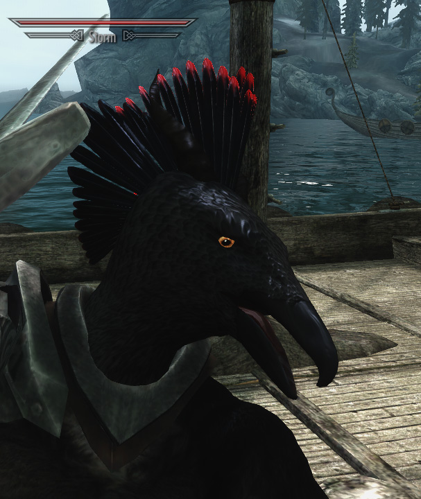 Raven in combat 1 .jpg
