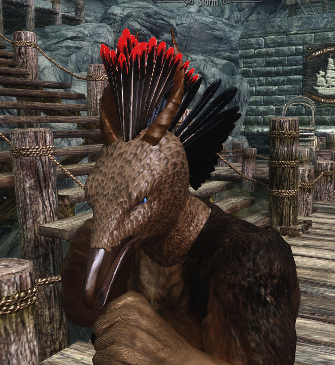 Hoopoe in combat 2.jpg