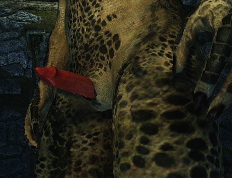 argonian new 1.jpg