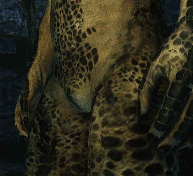 Argonian new 0.jpg