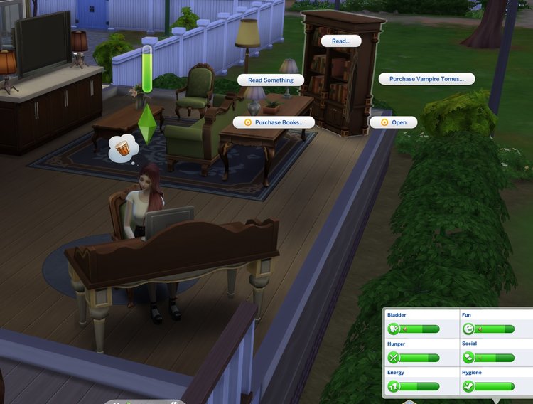 sims fix.jpg