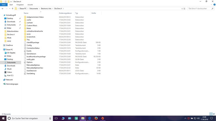 Sims folder.jpg
